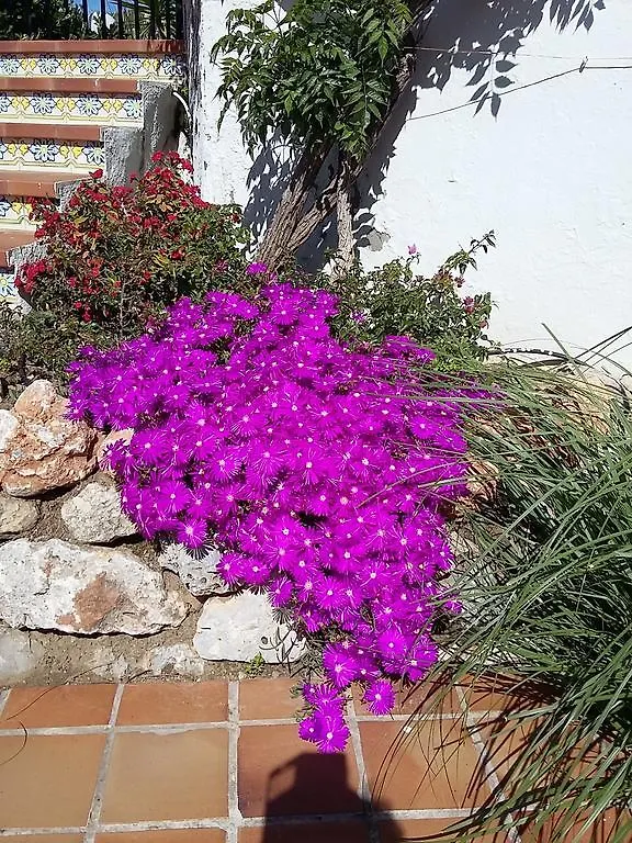 Casa Mariposa Hotel Mijas Costa 0*,  Spain